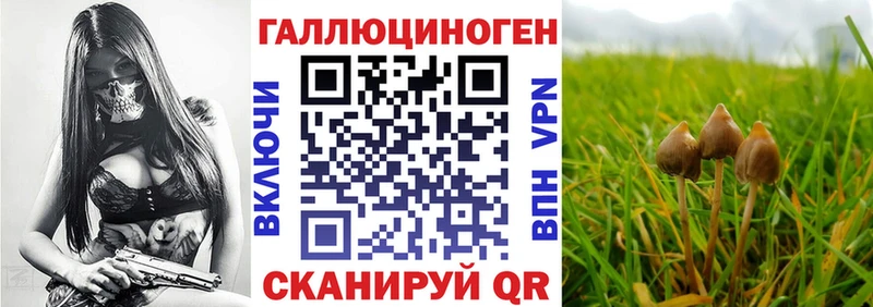 Галлюциногенные грибы GOLDEN TEACHER  Алупка 